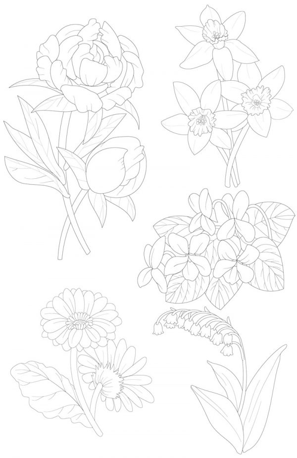 Assorted Flowers